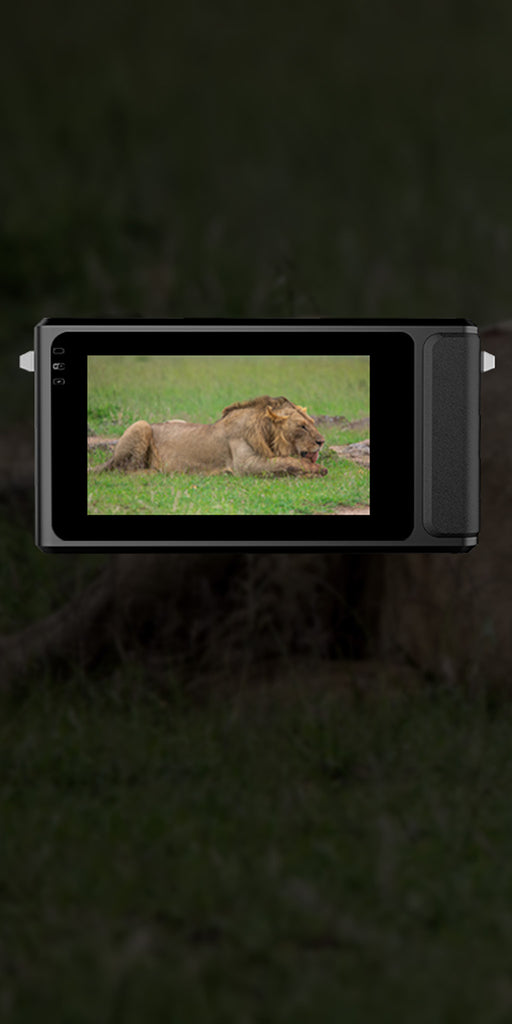 catch crispe photos and videos of wildlife  in completer darkness with Duovox Mate Pro